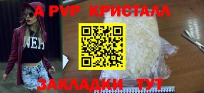 индика Донской