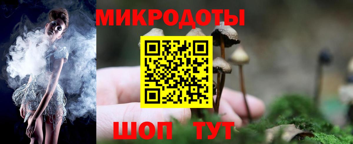 Галлюциногенные грибы Psilocybine cubensis  Псилоцибиновые грибы Psilocybine cubensis  Медногорск  Вход с VPN 