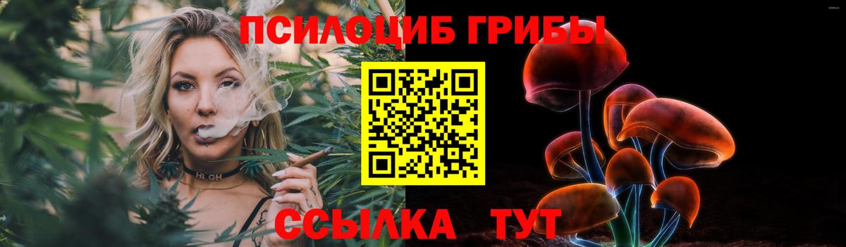 Псилоцибиновые грибы Magic Shrooms Медногорск